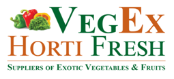 VEGEX HORTIFRESH