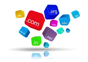 Domain & Web Hosting